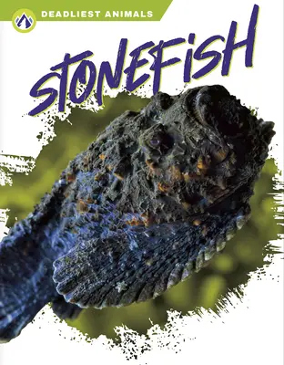 Steinfisch - Stonefish