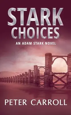 Stark Choices: Ein Adam-Stark-Roman - Stark Choices: An Adam Stark Novel