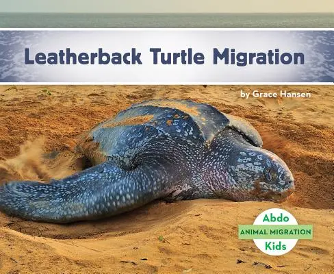 Wanderung der Lederschildkröte - Leatherback Turtle Migration