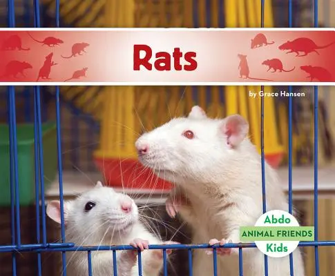Ratten - Rats