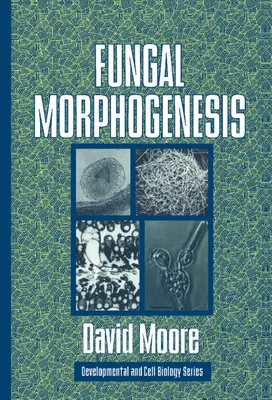 Morphogenese der Pilze - Fungal Morphogenesis