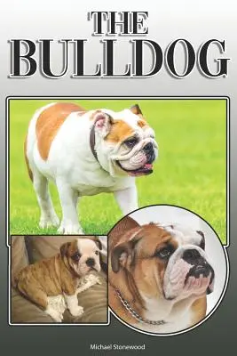 Die Bulldogge: Ein komplettes und umfassendes Handbuch für Bulldoggenbesitzer: Kaufen, Besitzen, Gesundheit, Pflege, Training, Gehorsam, Verstehen und - The Bulldog: A Complete and Comprehensive Owners Guide To: Buying, Owning, Health, Grooming, Training, Obedience, Understanding and