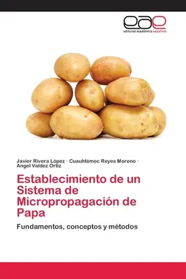 Aufbau eines Systems zur Mikropropaganda von Papa - Establecimiento de un Sistema de Micropropagacin de Papa
