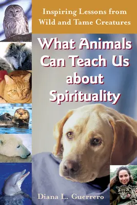 Was Tiere uns über Spiritualität lehren können: Inspirierende Lektionen von wilden und zahmen Kreaturen - What Animals Can Teach Us about Spirituality: Inspiring Lessons from Wild and Tame Creatures