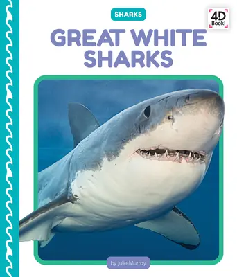Weiße Haie - Great White Sharks