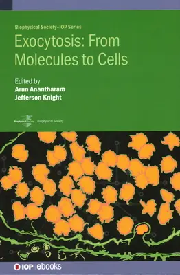 Exozytose: Vom Molekül zur Zelle - Exocytosis: From Molecules to Cells