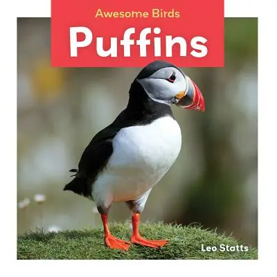 Papageientaucher - Puffins