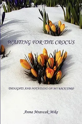 Warten auf den Krokus - Gedanken und Notizen zu meinem Hinterhof - Waiting for the Crocus - Thoughts and Notations on My Backyard