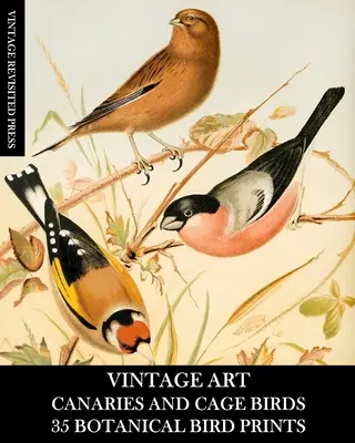 Kunst im Vintage-Stil: Kanarienvögel und Käfigvögel 35 Botanische Drucke: Ephemera für Einrahmung, Decoupage und gemischte Medien - Vintage Art: Canaries and Cage Birds 35 Botanical Prints: Ephemera for Framing, Decoupage, and Mixed Media