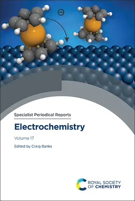 Elektrochemie: Band 17 - Electrochemistry: Volume 17