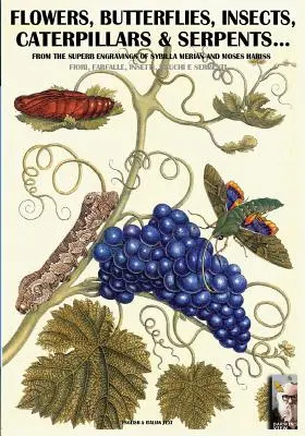 Blumen, Schmetterlinge, Insekten, Raupen & Schlangen...: Stiche von Sybilla Merian & Moses Hariss aus dem XVII-XVIII Jahrhundert - flowers, butterflies, insects, caterpillars & serpents...: From Sybilla Merian & Moses Hariss XVII-XVIII Centuries engravings