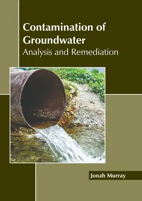 Kontamination von Grundwasser: Analyse und Sanierung - Contamination of Groundwater: Analysis and Remediation