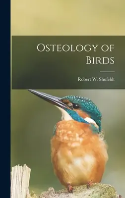 Osteologie der Vögel - Osteology of Birds