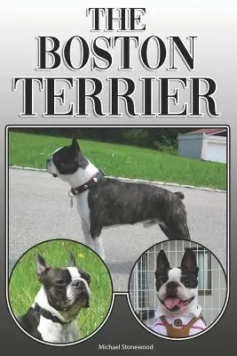Der Boston Terrier: Ein kompletter und umfassender Leitfaden für Besitzer: Kaufen, Besitzen, Gesundheit, Pflege, Training, Gehorsam, Verstehen und - The Boston Terrier: A Complete and Comprehensive Owners Guide To: Buying, Owning, Health, Grooming, Training, Obedience, Understanding and