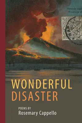 Wunderbares Unglück - Wonderful Disaster