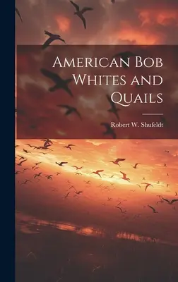 Amerikanische Bob-Weißlinge und Wachteln - American bob Whites and Quails