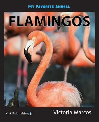 Mein Lieblingstier: Flamingos - My Favorite Animal: Flamingos
