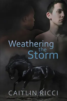 Dem Sturm trotzen: Band 1 - Weathering the Storm: Volume 1