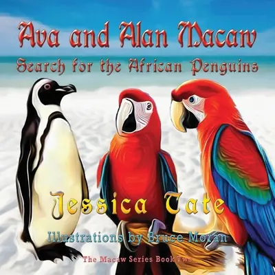 Ava und Alan Macaw suchen nach afrikanischen Pinguinen - Ava and Alan Macaw Search for African Penguins