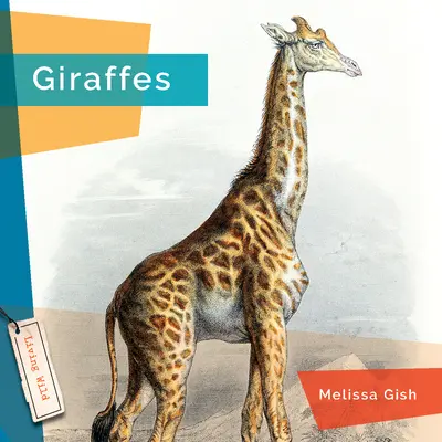 Giraffen - Giraffes