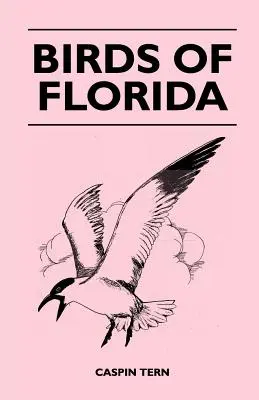 Vögel von Florida - Birds of Florida