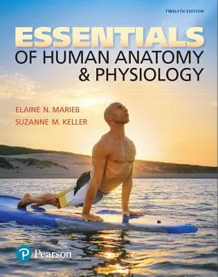 Grundlagen der menschlichen Anatomie und Physiologie - Essentials of Human Anatomy & Physiology