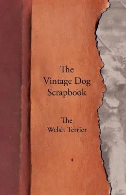 The Vintage Dog Scrapbook - Der Welsh Terrier - The Vintage Dog Scrapbook - The Welsh Terrier