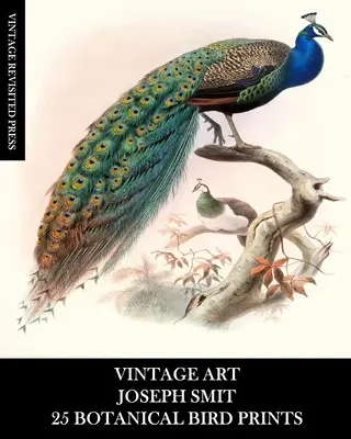 Alte Kunst: Joseph Smit: 25 botanische Vogeldrucke: Ornithologische Ephemera für Einrahmung, Heimdekoration, Collage und Decoupage - Vintage Art: Joseph Smit: 25 Botanical Bird Prints: Ornithology Ephemera for Framing, Home Decor, Collage and Decoupage
