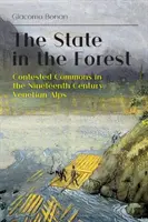Der Staat im Wald: Umstrittene Gemeingüter in den venezianischen Alpen des neunzehnten Jahrhunderts - The State in the Forest: Contested Commons in the Nineteenth Century Venetian Alps