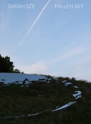 Sarah Sze: Gefallener Himmel - Sarah Sze: Fallen Sky