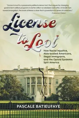 Lizenz zum Plündern: Wie rassische Ungerechtigkeit, behinderte Amerikaner, illegale Einwanderung und die Opioid-Epidemie Amerika spalten - License to Loot: How Racial Injustice, Able-bodied Americans, Illegal Immigration, and the Opioid Epidemic Split America
