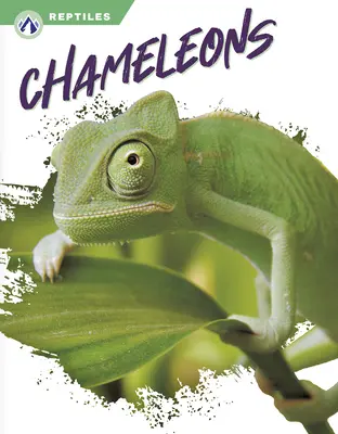 Chamäleons - Chameleons