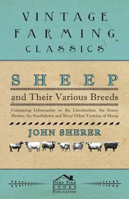 Schafe und ihre verschiedenen Rassen - Mit Informationen über das Lincolnshire-Schaf, das sächsische Merino-Schaf, das Southdown-Schaf und viele andere Schafsrassen - Sheep and Their Various Breeds - Containing Information on the Lincolnshire, the Saxon Merino, the Southdown and Many Other Varieties of Sheep