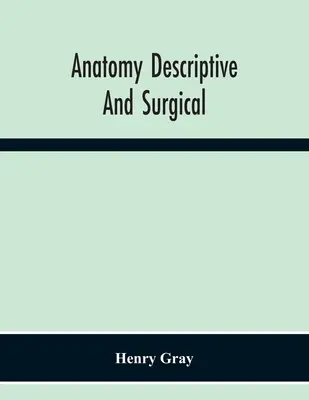 Anatomie Beschreibend Und Chirurgisch - Anatomy Descriptive And Surgical