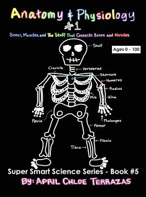 Anatomie und Physiologie Teil 1: Knochen, Muskeln und das, was Knochen und Muskeln miteinander verbindet - Anatomy & Physiology Part 1: Bones, Muscles, and the Stuff That Connects Bones and Muscles