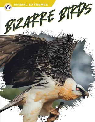 Bizarre Vögel - Bizarre Birds