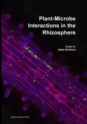 Wechselwirkungen zwischen Pflanzen und Mikroben in der Rhizosphäre - Plant-Microbe Interactions in the Rhizosphere