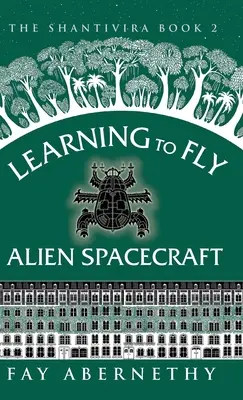 Außerirdische Raumschiffe fliegen lernen - Learning to Fly Alien Spacecraft