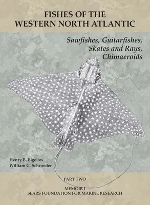 Sägefische, Gitarrenfische, Rochen, Chimaeroiden: Teil 2 - Sawfishes, Guitarfishes, Skates and Rays, Chimaeroids: Part 2