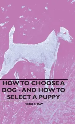 Wie man einen Hund auswählt - und wie man einen Welpen auswählt - How To Choose A Dog - And How To Select A Puppy