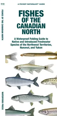 Fische des kanadischen Nordens: Ein wasserfester Faltführer für einheimische und eingeführte Süßwasserarten der Nordwest-Territorien, Nunavut und Yukon - Fishes of the Canadian North: A Waterproof Folding Guide to Native and Introduced Freshwater Species of the Northwest Territories, Nunavut and Yukon