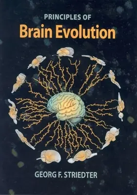 Prinzipien der Gehirnentwicklung - Principles of Brain Evolution