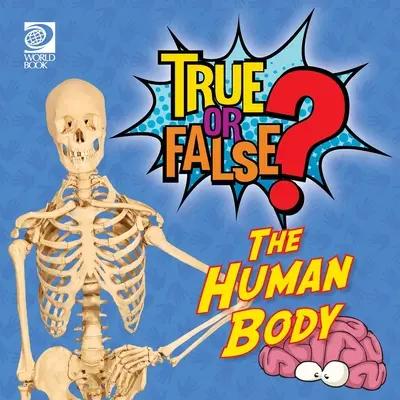 Wahr oder Falsch? Der menschliche Körper - True or False? The Human Body