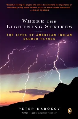 Wo die Blitze einschlagen: Das Leben der heiligen Stätten der amerikanischen Indianer - Where the Lightning Strikes: The Lives of American Indian Sacred Places