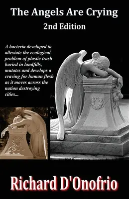 Die Engel weinen (2. Auflage) - The Angels Are Crying (2nd Edition)