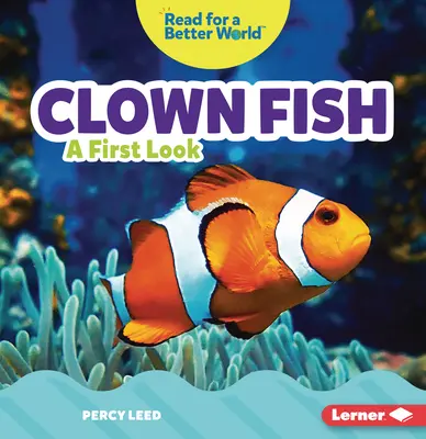 Clownfisch: Ein erster Blick - Clown Fish: A First Look