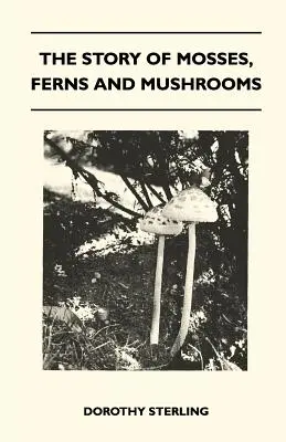 Die Geschichte der Moose, Farne und Pilze - The Story Of Mosses, Ferns And Mushrooms