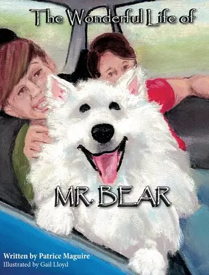 Das wunderbare Leben des Herrn Bär - The Wonderful Life of Mr. Bear