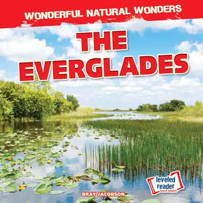 Die Everglades - The Everglades