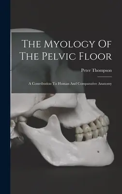 Die Myologie des Beckenbodens: Ein Beitrag zur menschlichen und vergleichenden Anatomie - The Myology Of The Pelvic Floor: A Contribution To Human And Comparative Anatomy